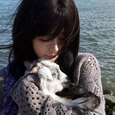 独狼2013
